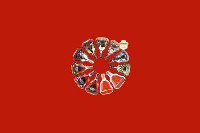 珲春回收红酒